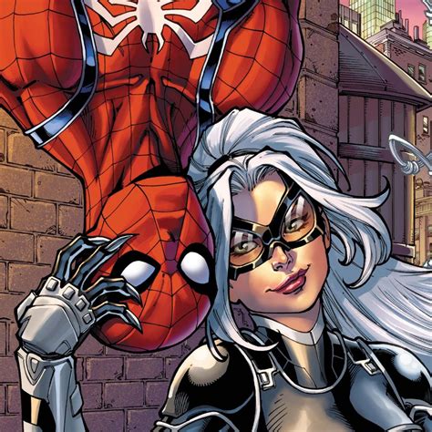 spiderman and blackcat